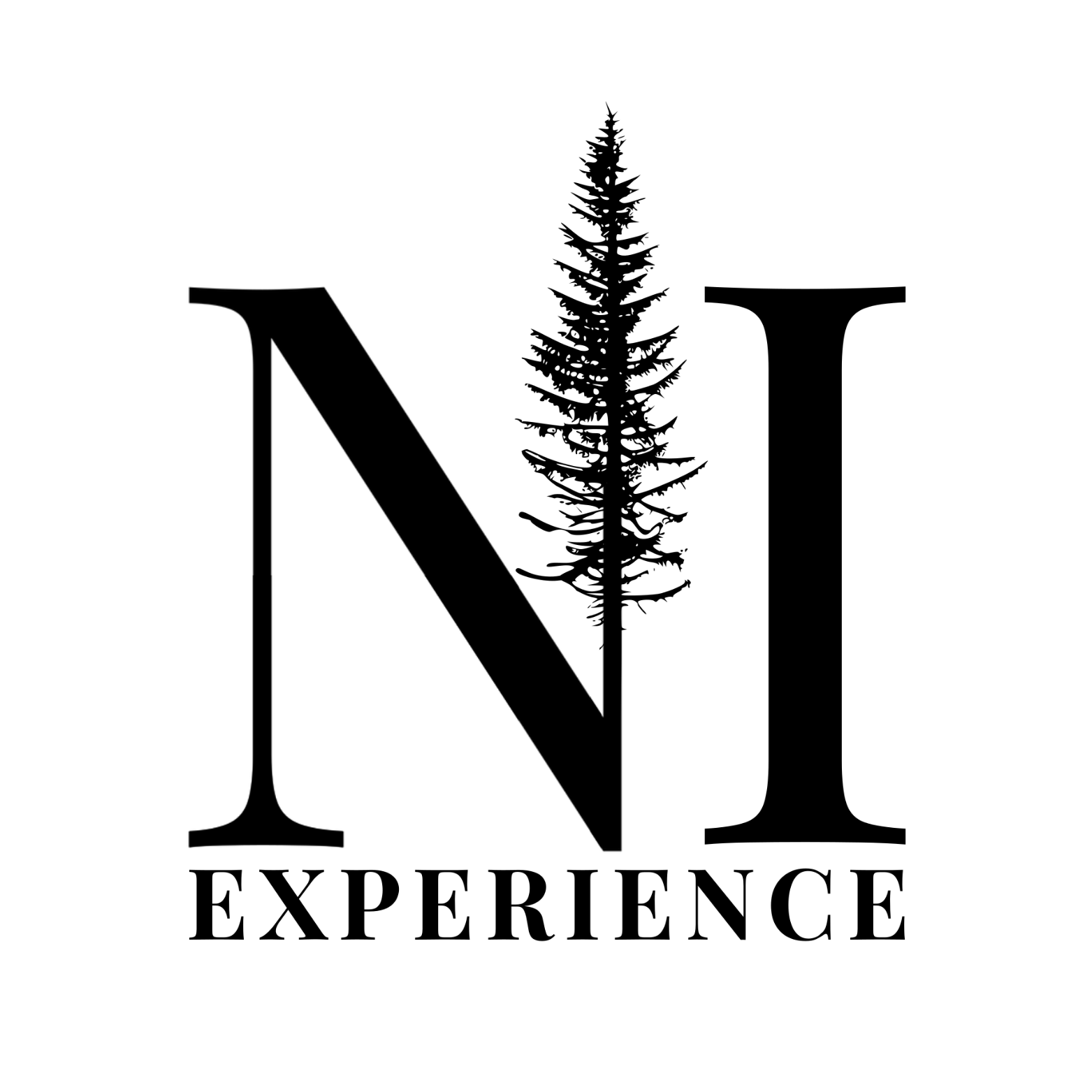 North Idaho Experience logo