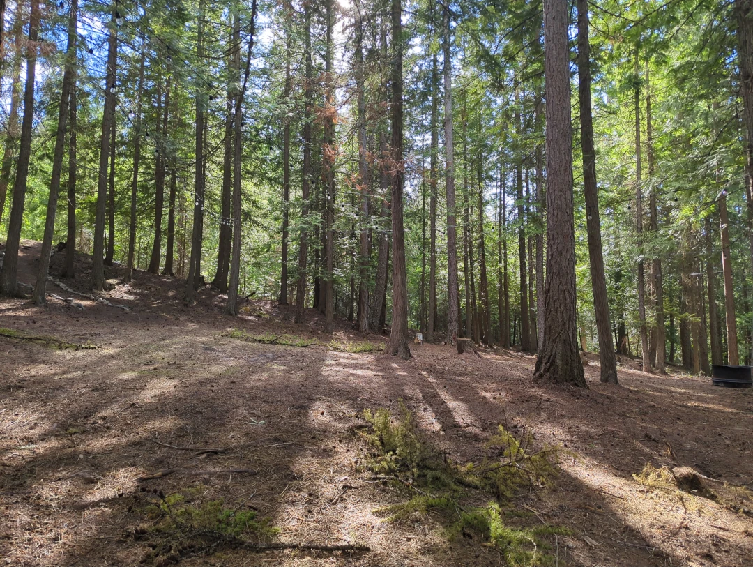 Dry camping tent site at Boulder Creek Retreat for up to 4 people