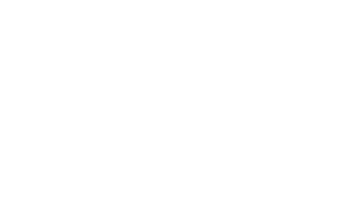 Valiance Firearms Training logo
